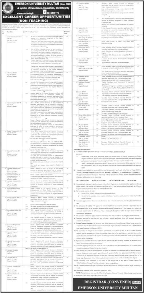 Emerson University Jobs